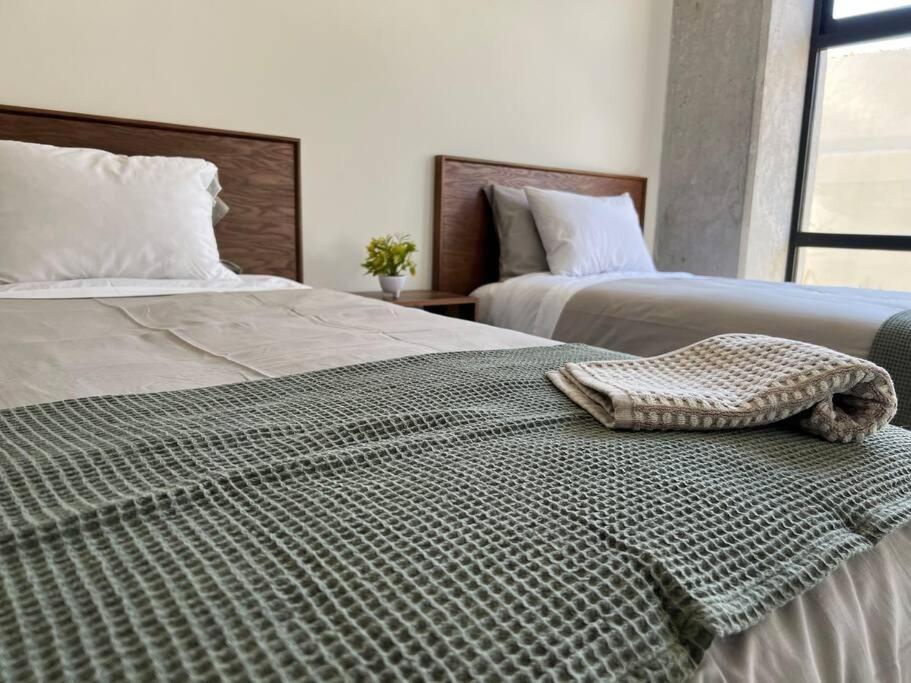 Depa Boho Al Sur Pet Friendly Piscina Gym Sala De Cine Leilighet Guadalajara Eksteriør bilde